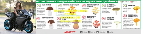 круглые Алексин