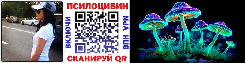 где купить наркоту  Дмитриев  Галлюциногенные грибы Cubensis 